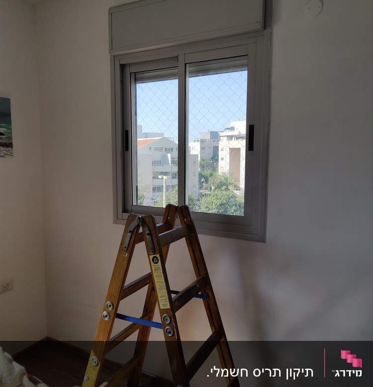 תריסים סגורים על חלון עם סולם עץ בחדר